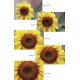 TIFFEN FILTRI CLOSE UP SET 55mm