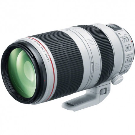CANON EF 100-400mm F/4.5-5.6L IS II USM - 2 Anni Garanzia in ITALIA