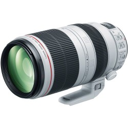 CANON EF 100-400mm F/4.5-5.6L IS II USM - 4 Anni Garanzia in ITALIA