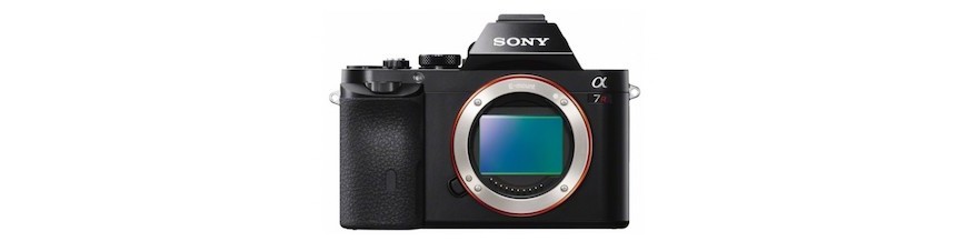 Fotocamere Digitali Mirrorless