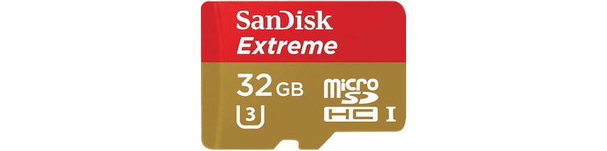Schede di Memoria microSD